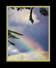 a rainbow in Belize thumbnail